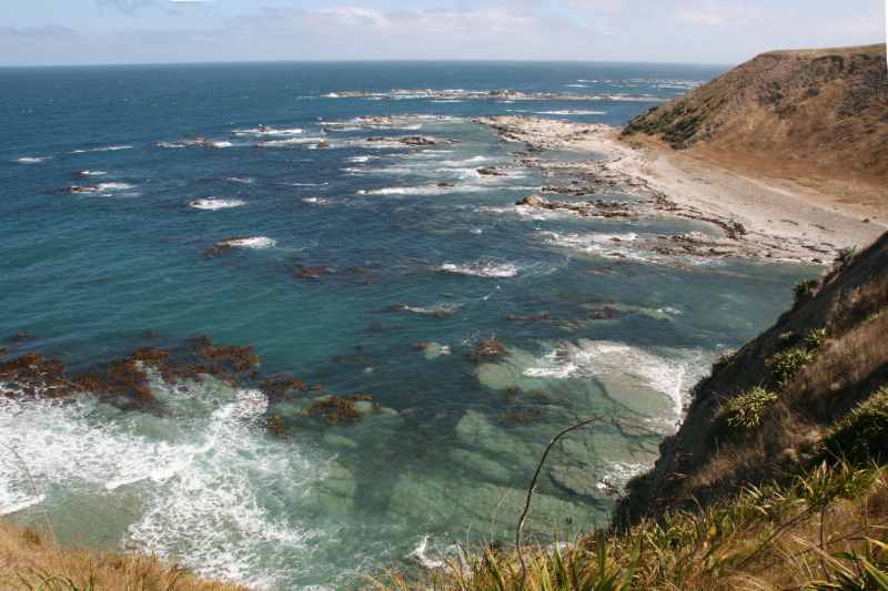 Nieuw-Zeeland 2011 - 1122